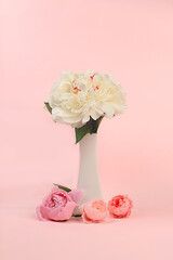 Flower arrangement of bouquet with fresh white peony flowers in vase,template for design and product display,natural still life for banner.Spring floral card