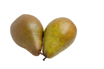 Two brown speckled pears touching stems
