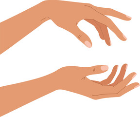 Human hands with natural skin tone in graceful gesture minimal flat design vector illustration