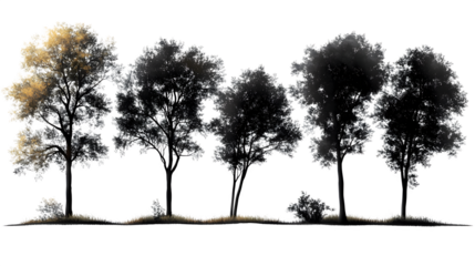 black and white tree silhouettes isolated on white background, high-definition, realistic look