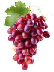 Fototapeta premium Bunch of grapes