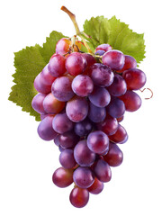 Fototapeta premium Bunch of grapes
