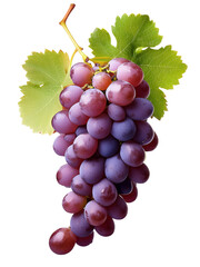 Fototapeta premium Bunch of grapes