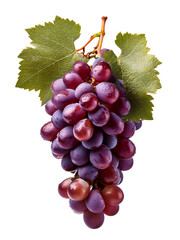 Fototapeta premium Bunch of grapes