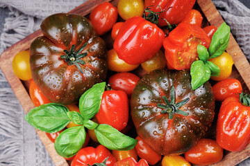 Top view of fresh heirloom tomatoes with water droplets and basil leaves on a wooden tray, styled for seasonal and eco-conscious food themes