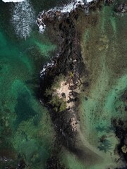 View of a coral reef