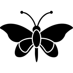 Creative Butterfly Icon Vector Illustration