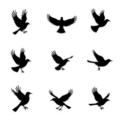 Obraz premium Collection of 9 pigeon bird silhouettes in various flying and perching positions, arranged in a 3 by 3 grid. 