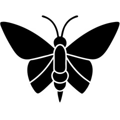 Creative Butterfly Icon Vector Illustration