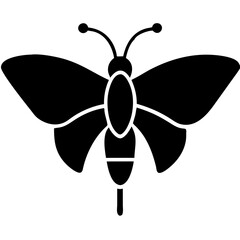 Creative Butterfly Icon Vector Illustration