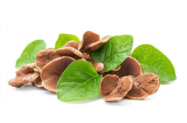 Brown Mushrooms with Lush Green Leaves: A Vibrant Nature Still Life