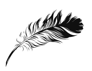 Obraz premium Black and white bird feather for writing on transparent background in PNG format. Illustration of an elegant feather used for calligraphy in ancient times.