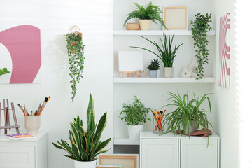 Shelving unit with different green houseplants and other decor at home