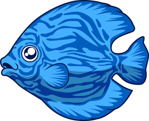 Der Diskusbuntbarsch fällt mit seinem runden Körper und dem blauen Streifenmuster auf.
