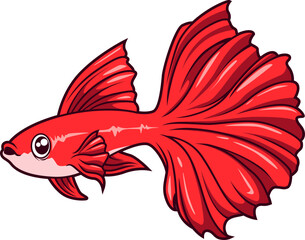 Obraz premium Roter Guppy mit großen Flossen und glänzender Haut, von der Seite dargestellt. 