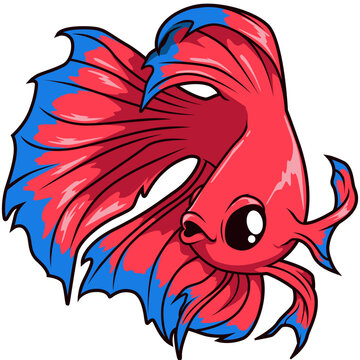 Der siamesische Kampffisch zeigt kr&auml;ftige Farben und prachtvolle Flossen in Bewegung.
