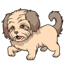 Kleiner, wuscheliger Hund mit niedlichem Gesichtsausdruck.
