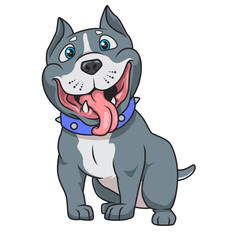 Freundlicher Pitbull mit breitem Grinsen und heraushängender Zunge.
