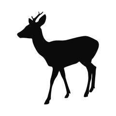 Obraz premium Majestic Silhouette of a Deer in Profile View Perfect for Logo Print or Digital Design