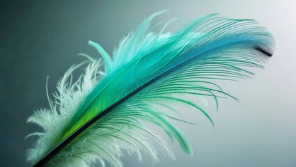 Obraz premium Colorful feather displays intricate details in a soft light setting Generative AI