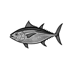 4252. Engraved Tuna Fish Illustration - Black and White Line Art. drawn in an engraved, woodcut style with fine details sketch engraving vector illustration. Scratch board imitation. Black and white i