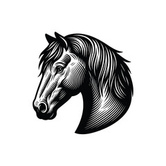 Vintage Horse Head Illustration - Black and White Line Art, drawn in an engraved, woodcut style with fine details sketch engraving vector illustration. Scratch board imitation. Black and white image