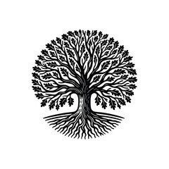 Intricate Vintage Tree Illustration - Black and White Line Art, drawn in an engraved, woodcut style with fine details sketch engraving vector illustration. Scratch board imitation. Black and white 