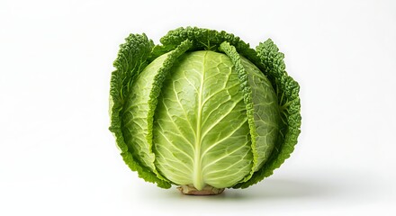 Fototapeta premium A crisp, vibrant savoy cabbage isolated on a bright white background, in a studio shot.