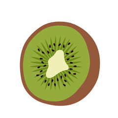 Kiwi half. Cut piece of fresh exotic kiwifruit. Hand-drawn colored flat vector illustration isolated on white.