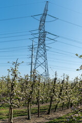 Obraz premium High-voltage lines and power towers, power transmission from nuclear energy plant in Zeeland, generation of electricity in Netherlands