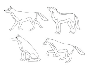 Vector set of flat outline wolves isolated on white background