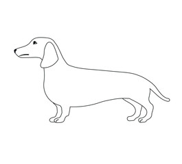Vector flat hand drawn outline dachshund dog isolated on white background