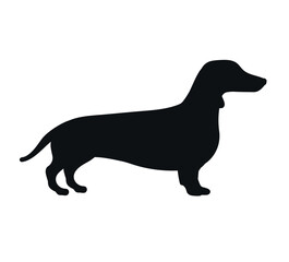 Vector flat hand drawn dachshund dog silhouette isolated on white background