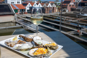 Eating of fresh Zeeuwse creuse oysters on farm in Yerseke with living harvested oysters, Oosterschelde, Zeeland, Netherlands.Variety of oysters on plate served with glass of white chablis wine.
