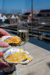Zeeuwse creuse oysters on farm in Yerseke with living harvested oysters, Oosterschelde, Zeeland, Netherlands.Au gratin oysters with cheese from oven served with glass of champagne, cava sparkling wine
