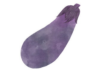 Hand-Painted Whole Eggplant – Isolated on White