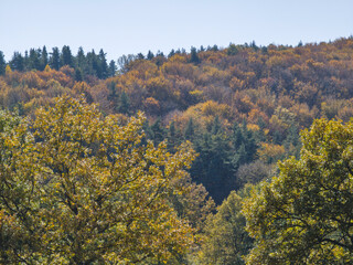 Fototapeta premium Autumn view of Plana Mountain, Sofia region, Bulgaria