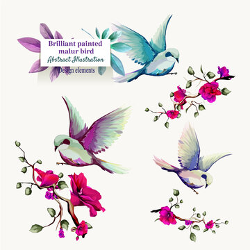 Brilliant painted malur on branches with leaves. Set of birds isolated on white. Hand drawn, watercolor illustration. Design elements. Vector - stock.
