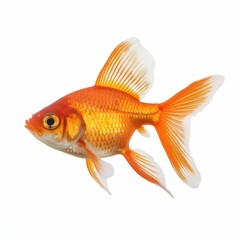 Watch as lively goldfish glide gracefully in clear water, their vivid colors shining beautifully under the light.