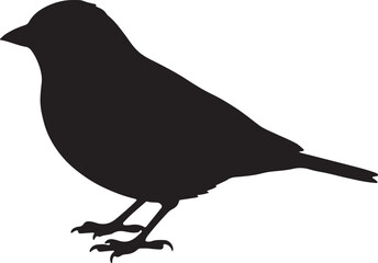 Brambling Silhouette – Minimal Vector Illustration on White Background