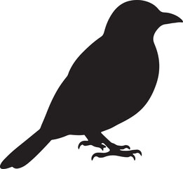 Catbird Silhouette – Minimal Vector Illustration on White Background