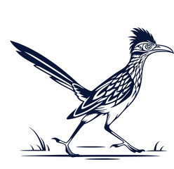 bird on a white background