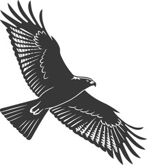 eagle vector illustration