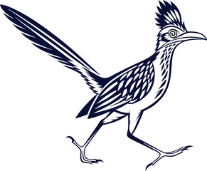 vector illustration of a bird