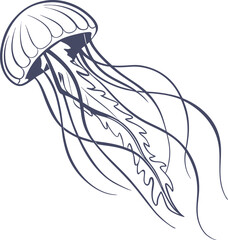 jellyfish vector illustration