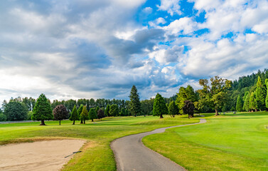 Green meadow. Nature landscape. Trail in park landscape. Trail through lush green forest park. Park pathway. Summer landscape in sunny day. Green grass field lawn. Peaceful natural setting