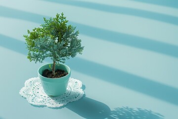 Teal pot plant on doily, bathed in pale light.