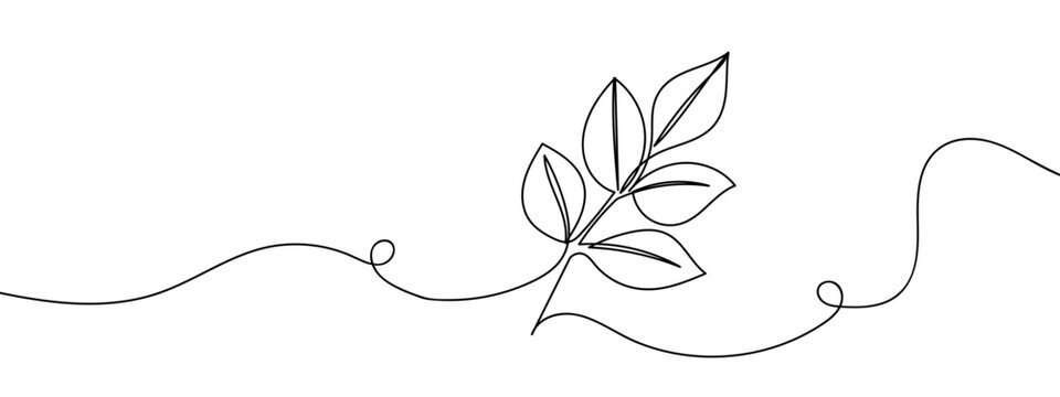 Continuous lines, branches, leaves line art vector illustration with background editable stroke.