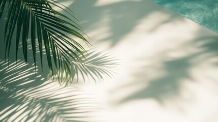 Shadows dance gracefully on a sunlit patio surrounded by tropical foliage and a shimmering pool on a warm summer day
