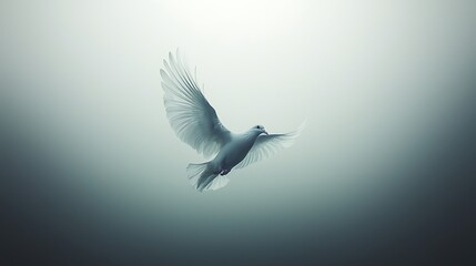 Obraz premium Serene Flight of a White Dove: A Symbol of Peace and Hope